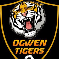 Ogwen Tigers (@tigersseniors) 's Twitter Profile