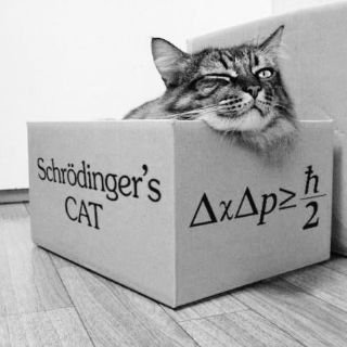 Gato de  Schrödinger