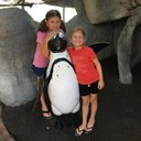 Tara Cupp - @cupp_tara - Twitter