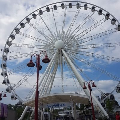 Anastas95242752's profile picture. horse back rider