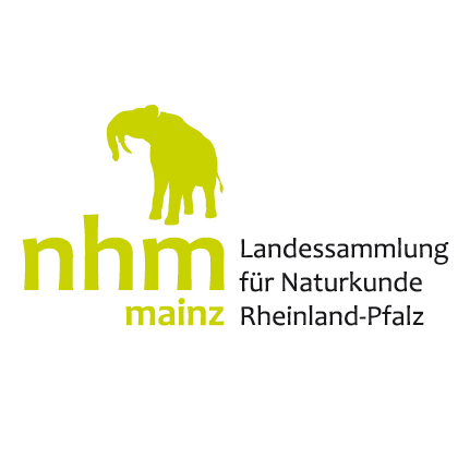 Das Naturhistorische Museum Mainz ist das größte Naturkundemuseum in
Rheinland-Pfalz.