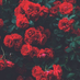 rawani (@rawan_ayar) Twitter profile photo rawani (@rawan_ayar) Twitter profile photo