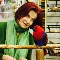 Zuzka Kurtz (@zuzkakurtz) 's Twitter Profile