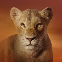 BEYLOVED (@gojiralegend) 's Twitter Profile