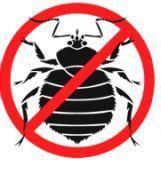 BustingBedbugs's profile picture. Take fighting Bedbugs into your own hands, use Busting Bedbugs!