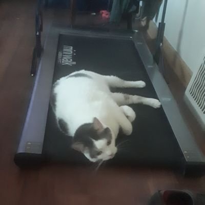 Nana6562026895's profile picture. Im no one special, but I do have one adorable Grandchild. Im one very proud Nana.