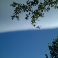 Masahiko Oshiro (@hickos) 's Twitter Profile