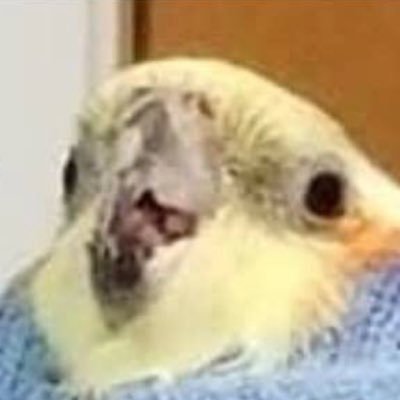 vickeylee123's profile picture. yo.