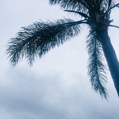 SmartMampara__'s profile picture. Deep House.
Beautiful People.❤