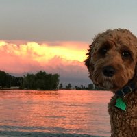 DrHeimDrLarson (@heidihlarson) 's Twitter Profile
