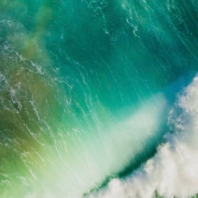 ana_m_v_ro's profile picture. 