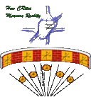 reinaldo silva - @QuantumComputer - Twitter