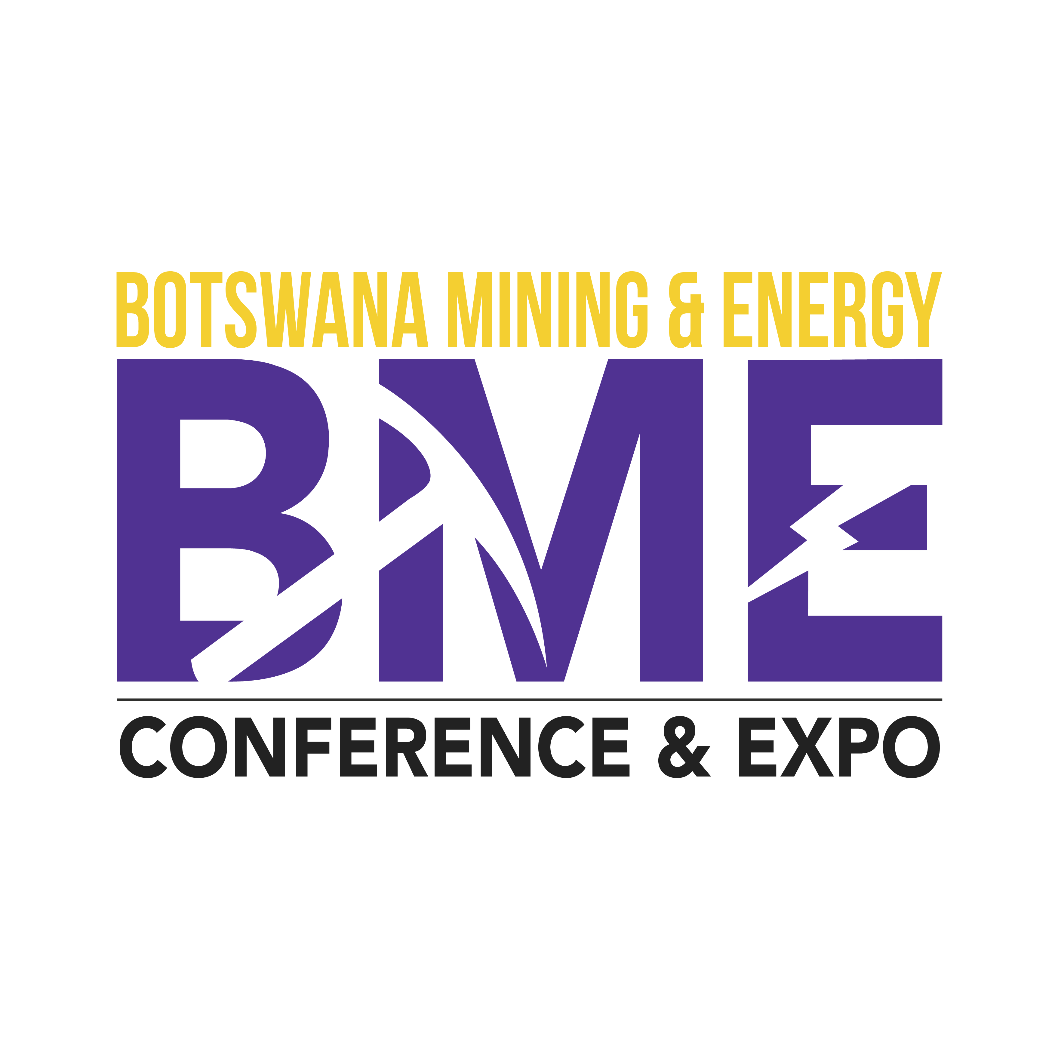 BotswanaBMEExpo Profile Picture