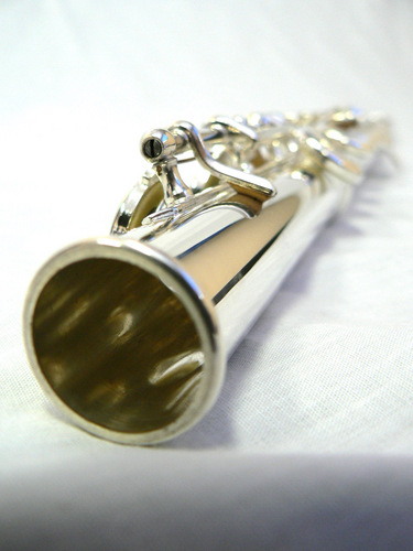Welcome to the SCFS! As the only organization of this type in S.C. we aim to enrich our surrounding community with music and more specifically, the flute!