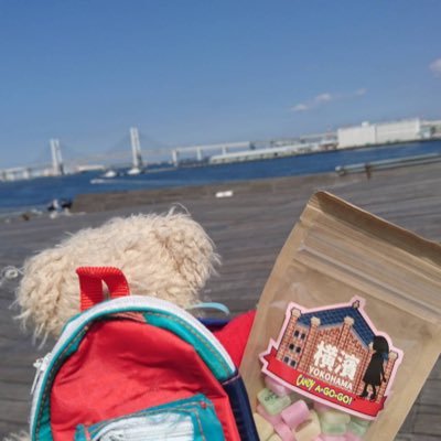 世界のお菓子の量り売り🍬CANDY★A★GOGO🍬 横浜赤レンガ店公式ツイッターです❢