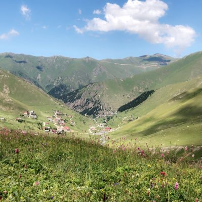 SAUD_ALMARI's profile picture. 