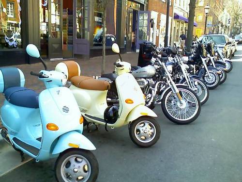 panblancop's profile picture. 