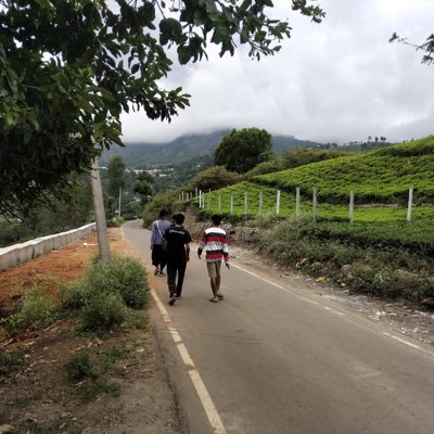 blankzingo's profile picture. I don’t know dude.