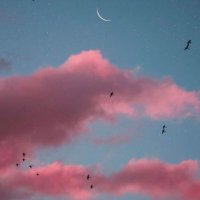 رغدا👩🏻‍⚕️ (@ruiia_) 's Twitter Profile Photo
