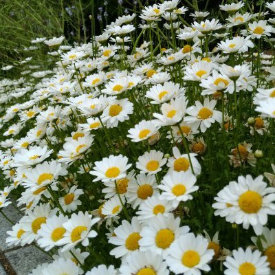 youryo_kuso's profile picture. 人生無課金を後で後悔。経験にはお金を積まねば豊かな人生はない。