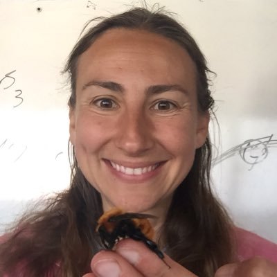 Researcher of/posts about bees, wasps, behavior, sociality, genomics, evolution, pollinator health. Professor @IowaStateU @eeob_isu & Entomology. (she/her)