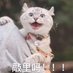 Long time ago (@z_long_time_ago) Twitter profile photo Long time ago (@z_long_time_ago) Twitter profile photo