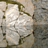 NaturPanorama's profile image