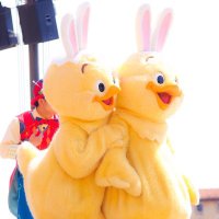 もっち (@mmmm_453) Twitter profile photo