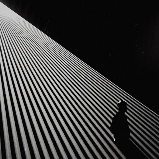 violet_206's profile picture. 