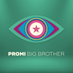 Promi Big Brother (@promibb) Twitter profile photo