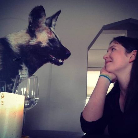 Zoologist. Postdoc @UCDSBES.
Animal movement, behaviour and welfare.
Foxes, gulls, wild dogs 🦊🐕🪽
she/her