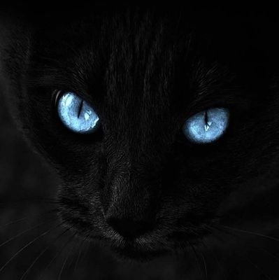 Melusi69471352's profile picture. Happy men l I love celebs 🇺🇸🇿🇦 l i love sports🥊🏇🥅