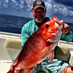 Chris Horton (@basshorton) Twitter profile photo Chris Horton (@basshorton) Twitter profile photo