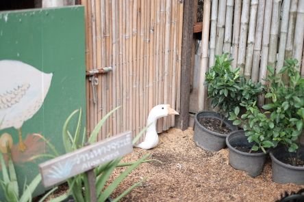 Pieg_pipy's profile picture. stronger than eb