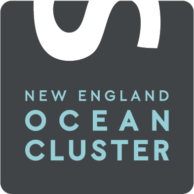 NE Ocean Cluster Profile