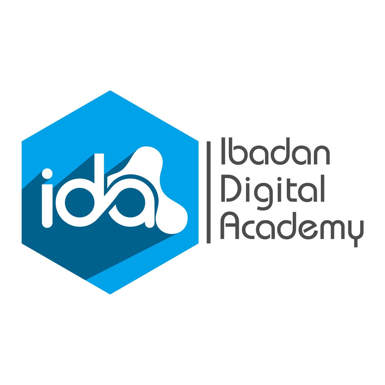 IDA is a leading training institute in Nigeria, specializing in digital capacity building and skill acquisition, empowering youth and fostering SME growth.