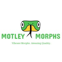 MotleyMorphs(@MotleyMorphs) 's Twitter Profile Photo