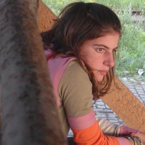 sofiafclara's profile picture. 