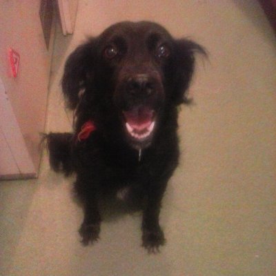 Jovanpetko4's profile picture. 