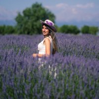 Demet Tutar (@demettutar) 's Twitter Profile