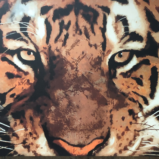 Centerville Jr/Sr High School on Twitter "Our kids and teachers are so