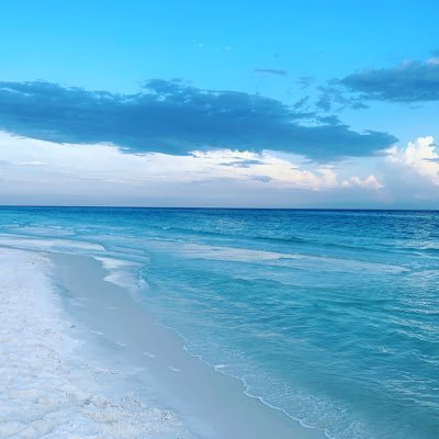 flowseeker18's profile picture. 