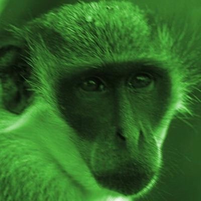 Mono Verde 🐒 on X: El primer deber de un hombre es pensar por sí
