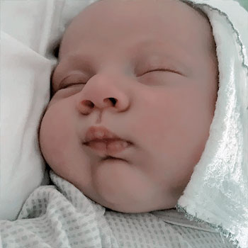 babyseed_'s profile picture. procurando uma barriga quentinha pra crescer ㅡ ♡