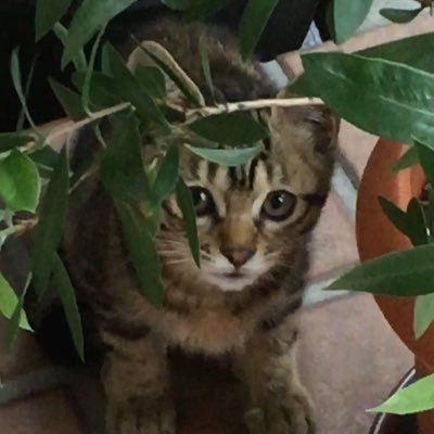 U5CmGVY1g6aLZ7s's profile picture. 山口県、福岡県をメインフィールドに釣りをしてます。「三平の備忘録」というブログをやってます。