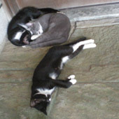 Banblanc's profile picture. 