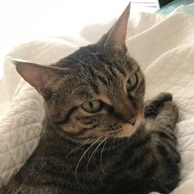 angel197011's profile picture. 