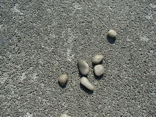 sentakuwasabi's profile picture. ひとりでコツコツ自営業。既婚でお子二人・柴犬♂１匹と同居中（これで家の中は男二人）でも案の定おなごの意見が我が家を動かす。。。仕事場が我が身が落ち着く唯一の場。