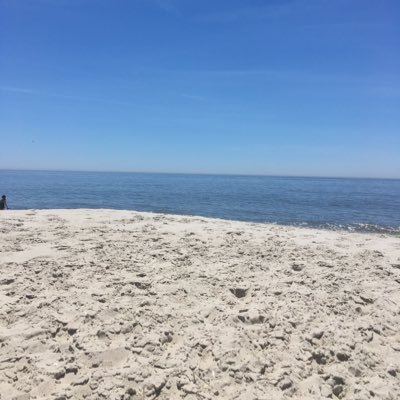 cod_atlantic's profile picture. 