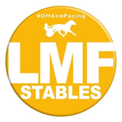 LmfStables Profile Picture